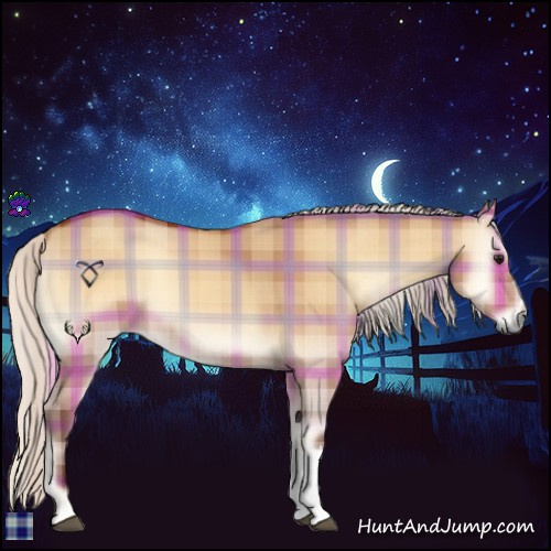 Horse Color:Plaid  Silver Bay Onyx 