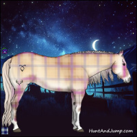 Horse Color:Plaid  Silver Bay Onyx 