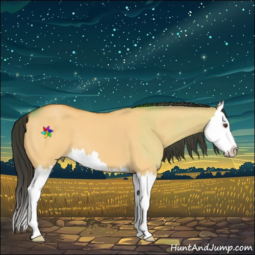 Horse Color:Buckskin Dun Splash 