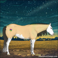Horse Color:Buckskin Dun Splash 