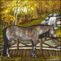 Horse Color:Bay Ice Onyx 