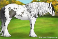 Horse Color:Black Splash Tobiano