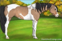 Horse Color:Brown Dun Sabino Tobiano 