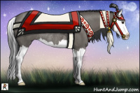 Horse Color:Grullo Sabino Splash Rabicano 