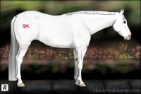 Horse Color:Grullo Sabino 