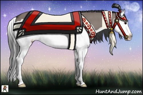 Horse Color:Grullo Splash 