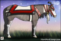 Horse Color:Grullo Sabino Rabicano 