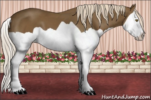 Horse Color:Chocolate Palomino Splash 