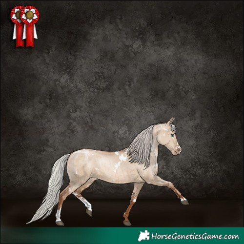 Horse Color:White Spotted Silver Grullo Pearl Sabino Rabicano Brindle 