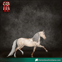 Horse Color:White Spotted Silver Grullo Pearl Sabino Rabicano Brindle 