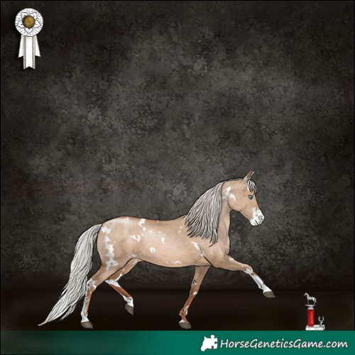 Horse Color:White Spotted Silver Grullo Pearl Sabino Brindle