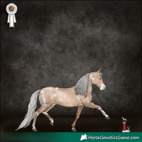 Horse Color:White Spotted Silver Grullo Pearl Sabino Brindle 