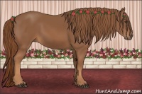 Horse Color:Chestnut Frame