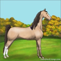 Horse Color:Amber Champagne 