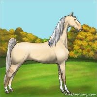 Horse Color:Silver Buckskin Dun Tobiano