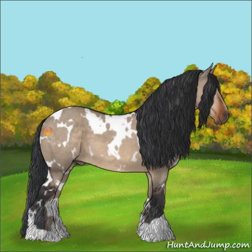 Horse Color:White Spotted Brown Dun 