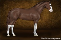 Horse Color:Liver Chestnut Splash 