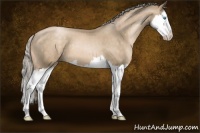 Horse Color:Chocolate Palomino Pearl Sabino Splash 