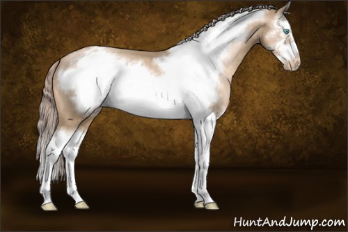 Horse Color:Chocolate Palomino Pearl Splash Frame Appaloosa 