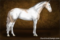 Horse Color:Chocolate Palomino Pearl Splash Frame Appaloosa