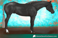 Horse Color:Gray Silver Black 