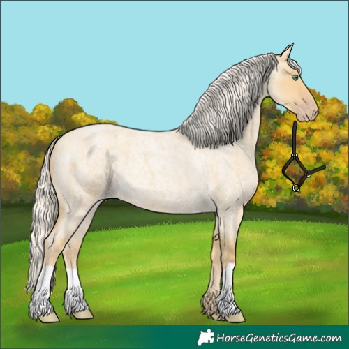 Horse Color:Silver Classic Cream Champagne Roan Dun 
