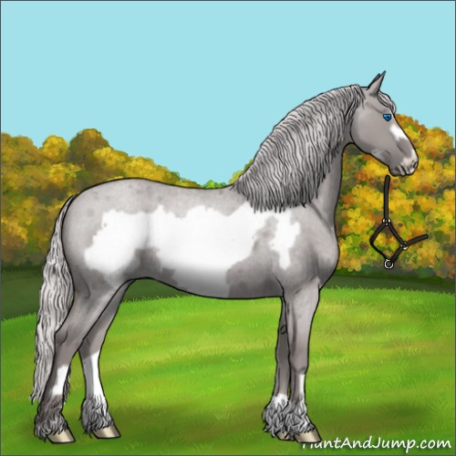 Horse Color:Platinum Silver Grullo Roan Frame 