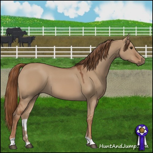 Horse Color:Red Dun 