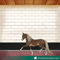 Horse Color:Chocolate Palomino 