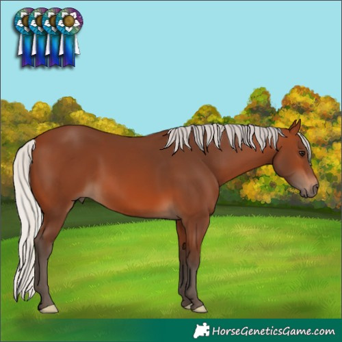Horse Color:Silver Brown 