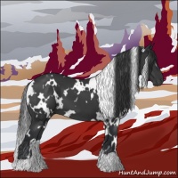 Horse Color:White Spotted Black