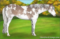 Horse Color:White Spotted Liver Chestnut Mushroom Splash 