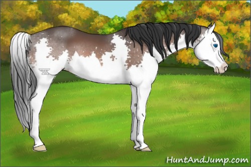 Horse Color:Brown Mushroom Splash