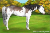 Horse Color:Brown Mushroom Splash 