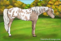Horse Color:White Spotted Liver Chestnut Pearl Mushroom Blanket 