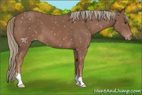 Horse Color:Chestnut Mushroom Snowflake Varnish 