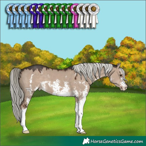 Horse Color:Liver Red Dun Mushroom Sabino