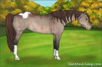 Horse Color:Brown Dun Mushroom Varnish Brindle 