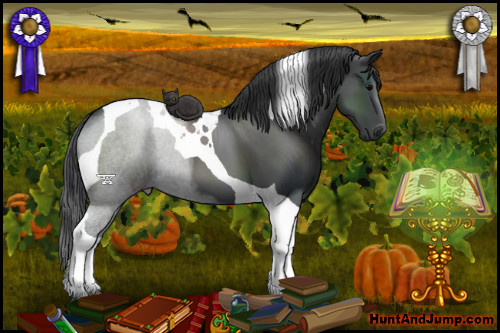 Horse Color:Black Tobiano 