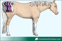 Horse Color:White Spotted Silver Classic Champagne Dun Tobiano