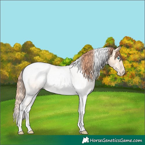 Horse Color:Sable Champagne Pearl Dun Tobiano 
