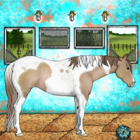 Horse Color:Black Pearl Tobiano Rabicano 