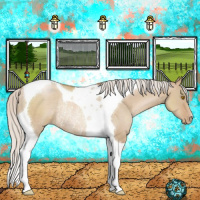 Horse Color:Silver Grullo Pearl Tobiano Rabicano