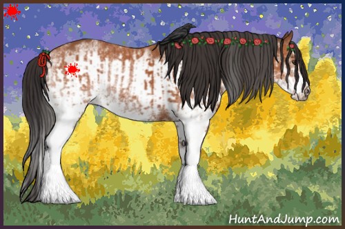 Horse Color:White Spotted Bay Splash  and White Spotted Bay Splash Frame 