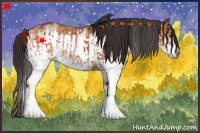 Horse Color:White Spotted Bay Splash  and White Spotted Bay Splash Frame 