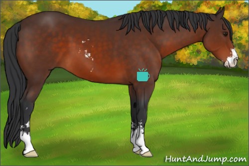 Horse Color:Brown Sabino