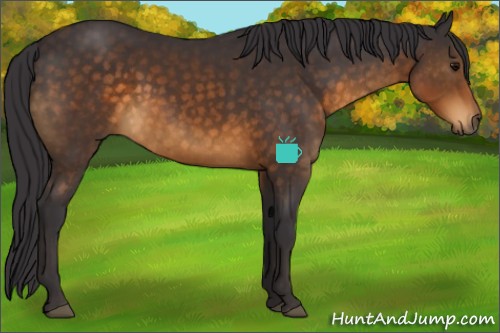 Horse Color:Buckskin Sabino