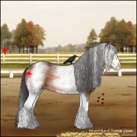 Horse Color:White Spotted Bay 