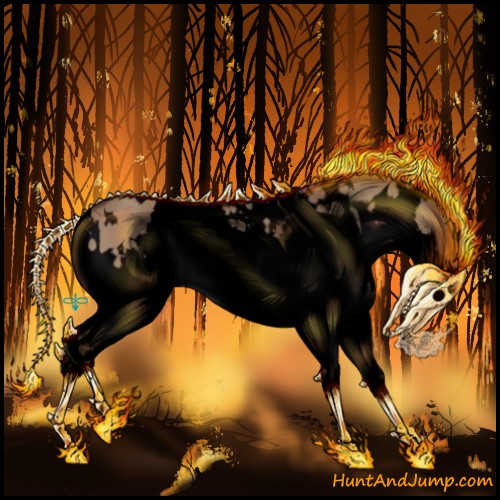 Horse Color:Void White Spotted Bay Dun Splash 