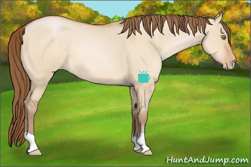 Horse Color:Brown Pearl Dun 
